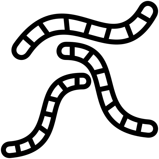 Žížalí čaj